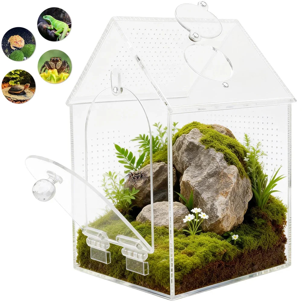 Clear Jumping Spider Enclosure Acrylic - ProPawPet.com