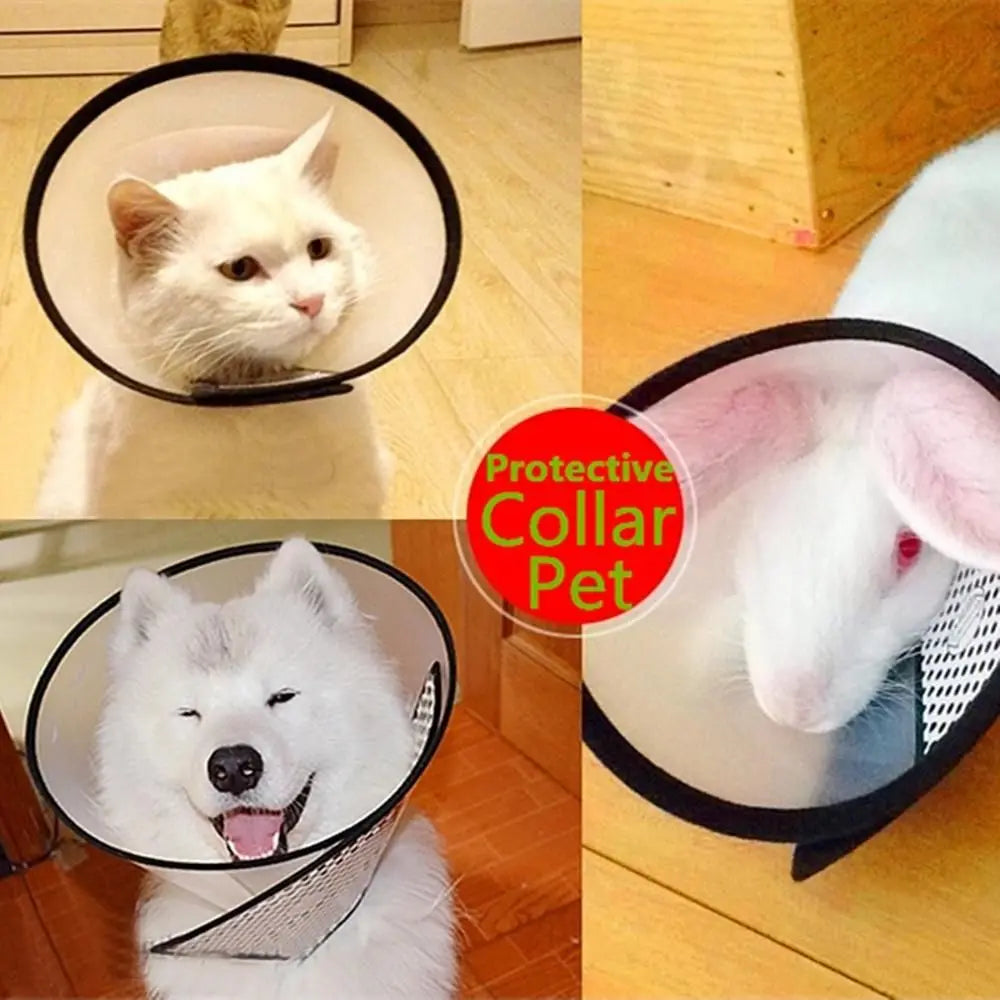 Anti-lick Anti-bite Cats Dogs Health - ProPawPet.com