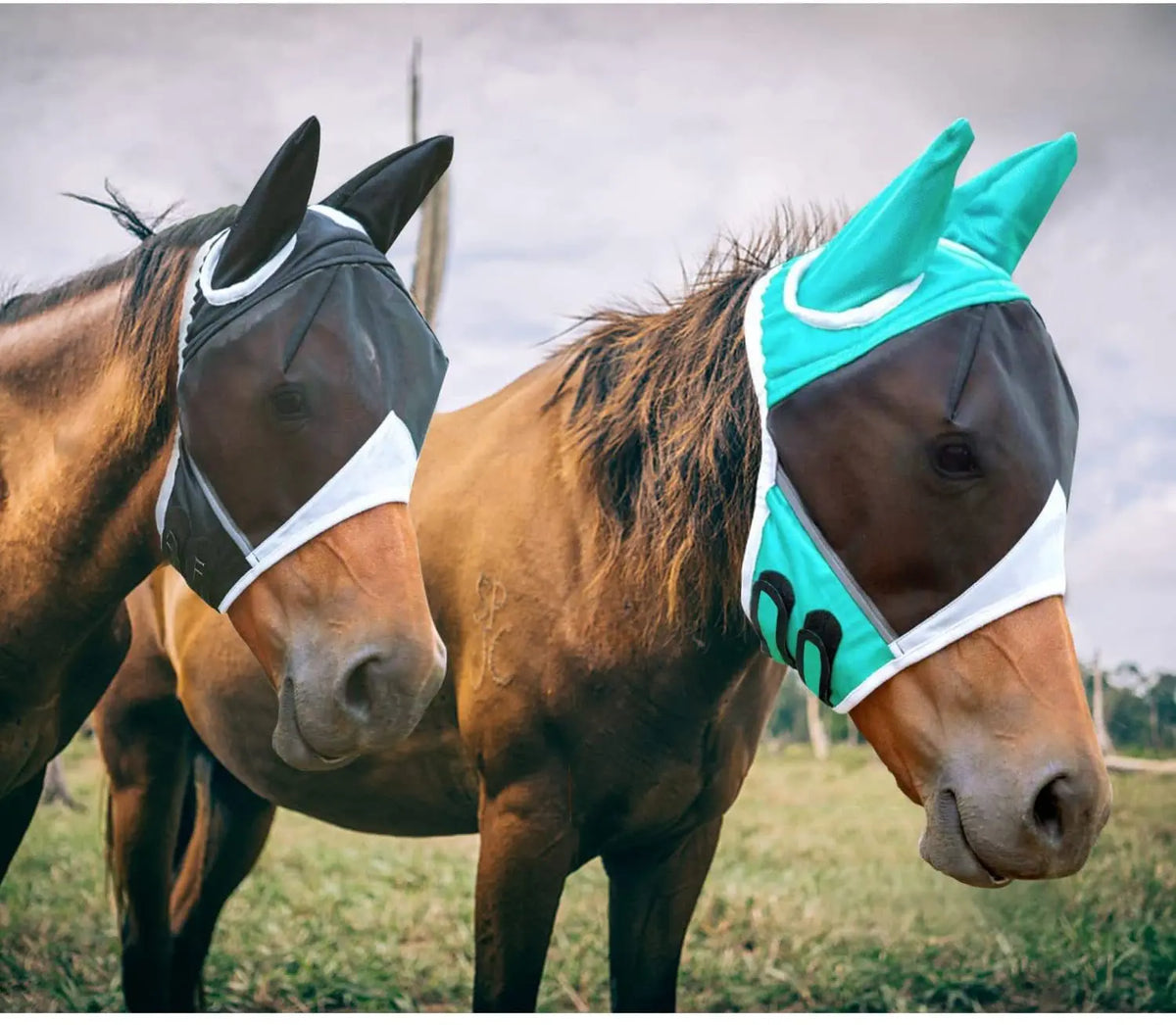Multi-size Breathable Horse Mask - ProPawPet.com