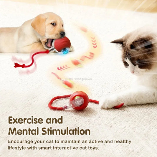 Cat Interactive Ball Toys Automatic Rolling - ProPawPet.com