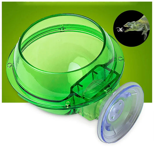 Reptile Feeder Chameleon Feeding Food Bowl - ProPawPet.com