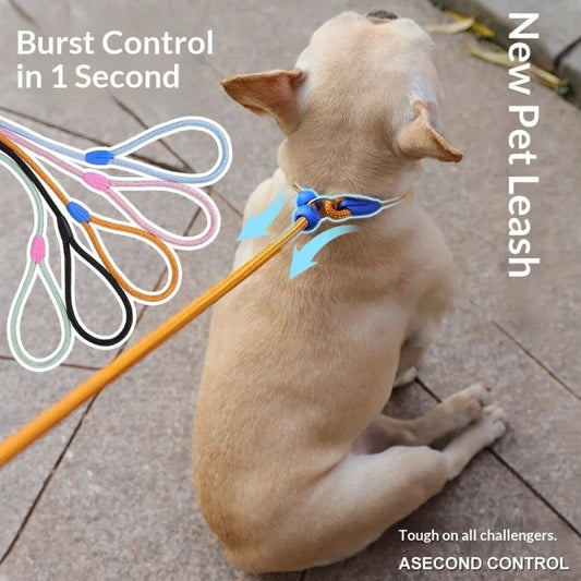 Macaron Color Adjustable Dog Training Leash - ProPawPet.com