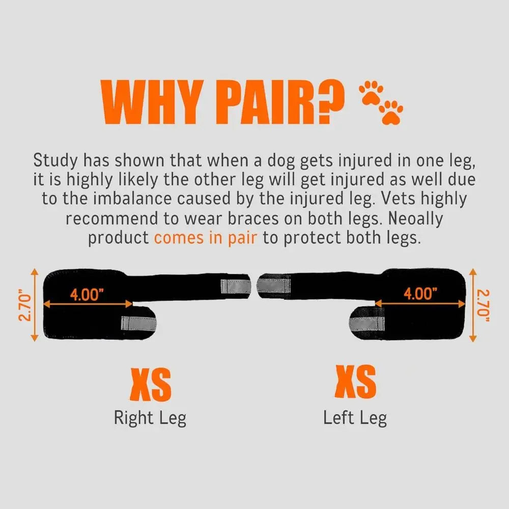 1PC Lightweight PC Strips Dog Front Leg - ProPawPet.com