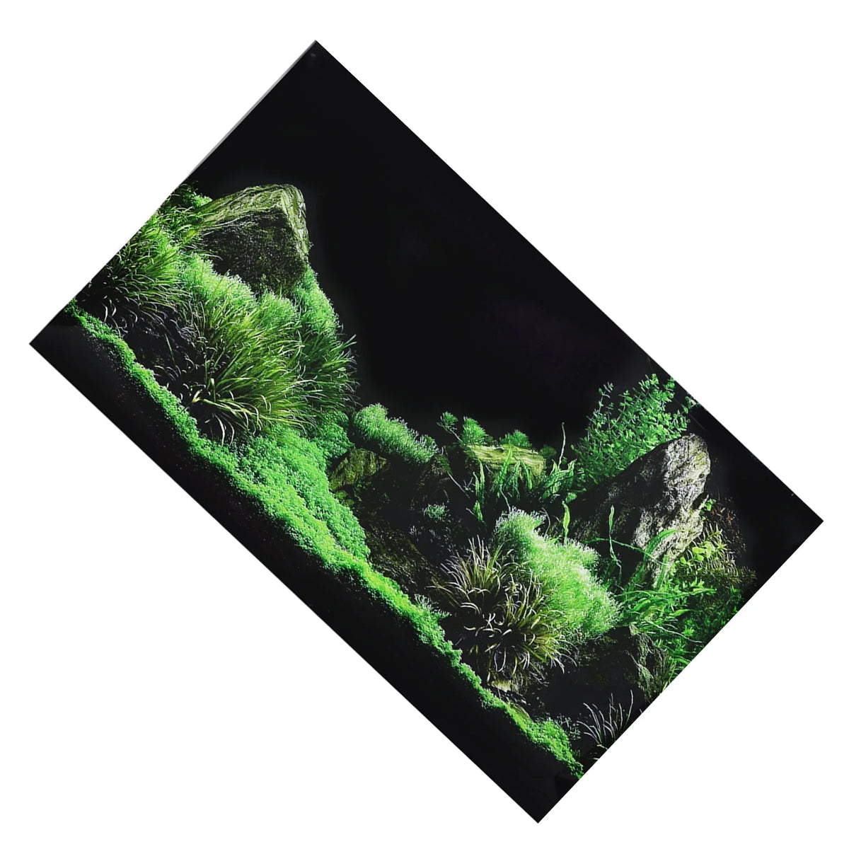 Aquarium Fish Tank Seafloor Water Grass Background Decoration – 5 Colors