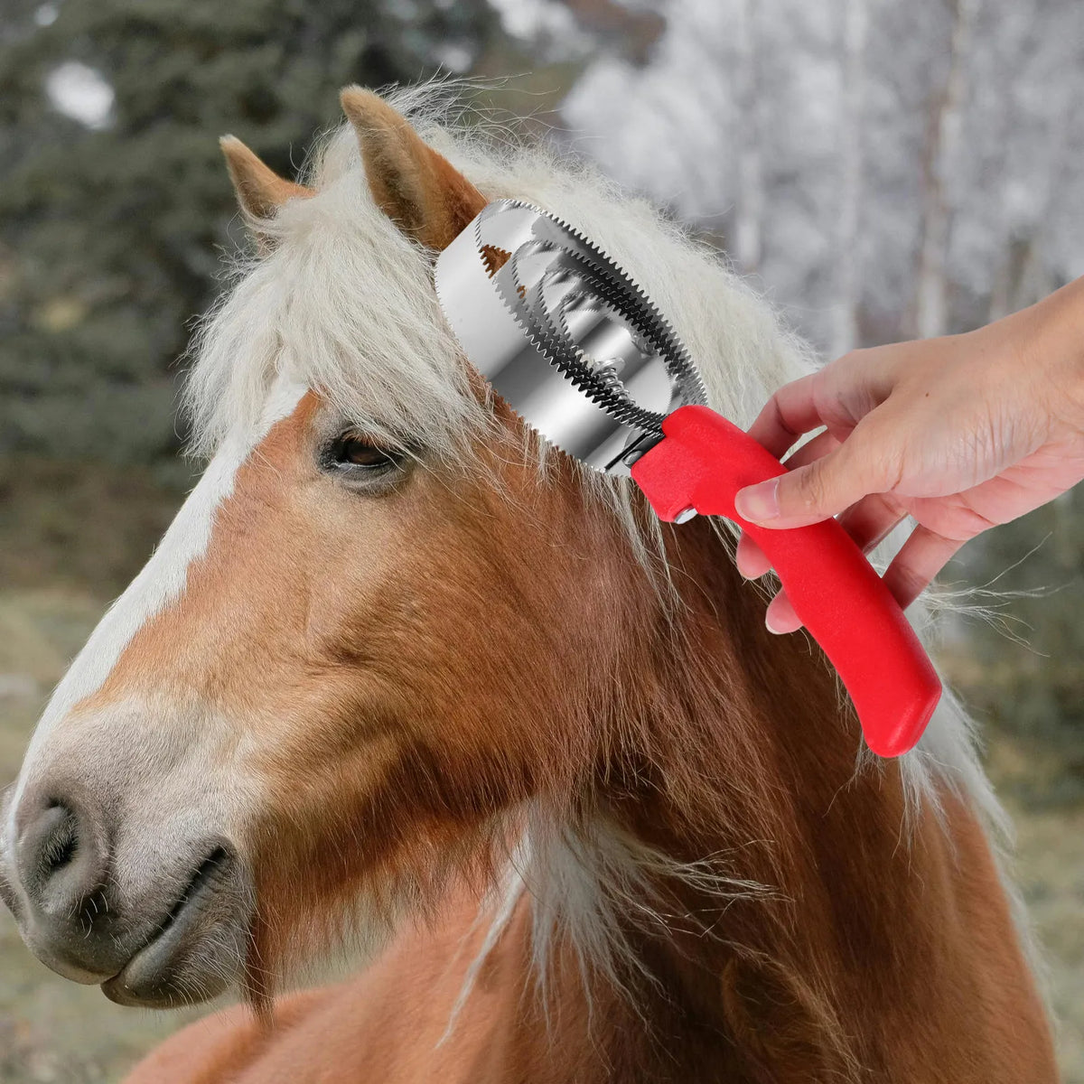 2Pcs Stainless Steel Reversible Curry Comb - ProPawPet.com