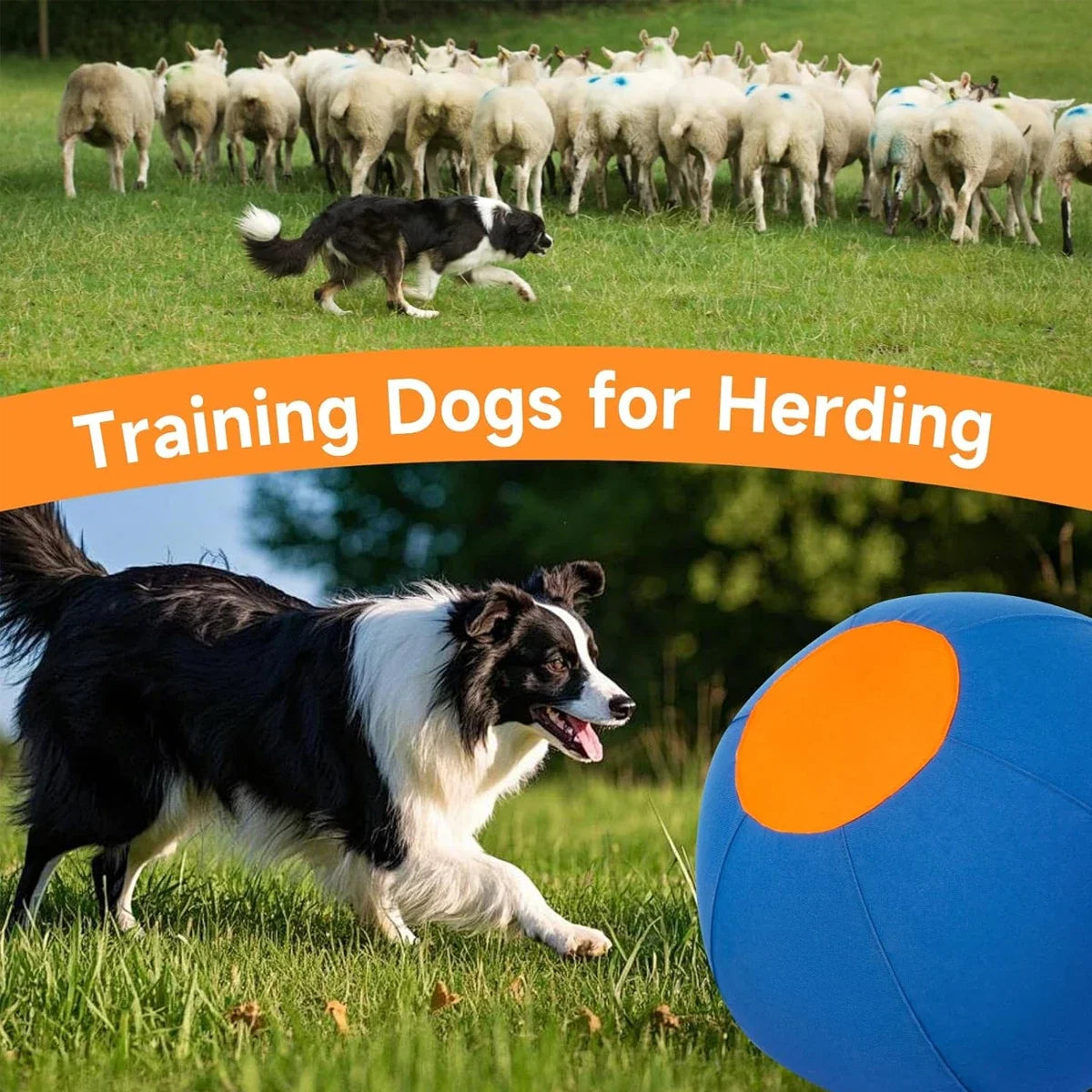 Pet Dogs Accessories Huge Animals Toys For - ProPawPet.com
