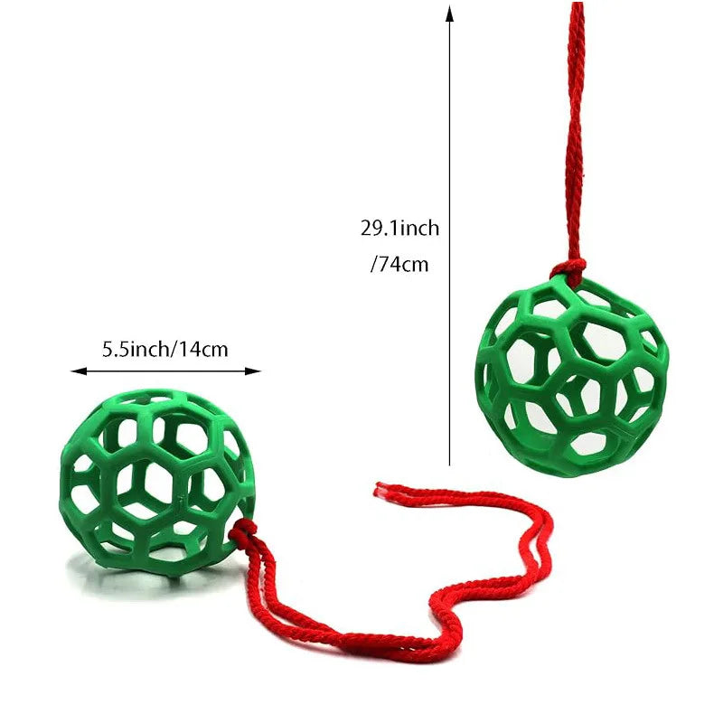 Horse Treat Ball Stables Hanging Hay Feeder - ProPawPet.com