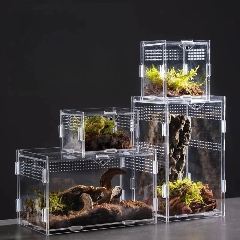 New Acrylic Reptile Habitat Anti-Escape - ProPawPet.com