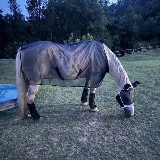 Breathable Horse Mosquito Proof Vest - ProPawPet.com