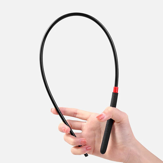 60CM Resin Material Long Straight Whip - ProPawPet.com