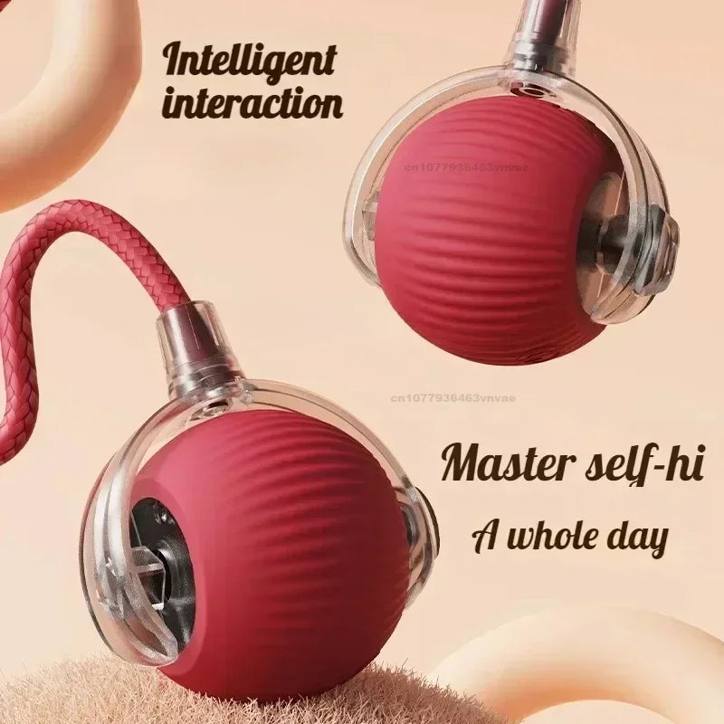 Cat Interactive Ball Toys Automatic Rolling - ProPawPet.com