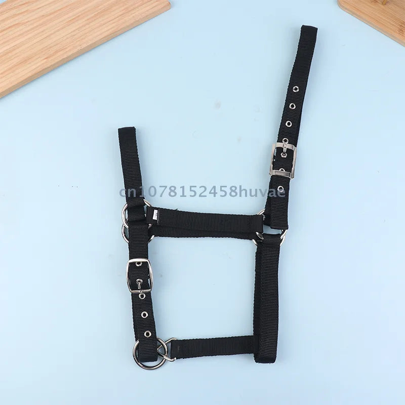 1 Pc Adjustable Nylon Webbing Equestrian - ProPawPet.com