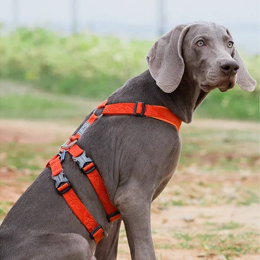 Winhyepet Anti-Slip Dog Harness YH1803, No - ProPawPet.com