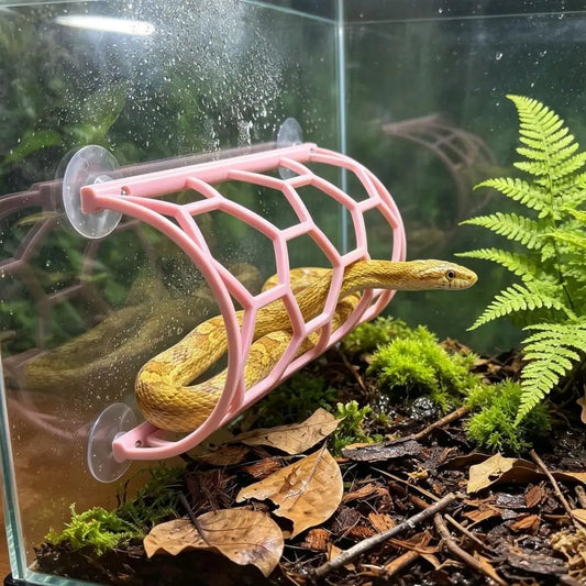 Reptile Honeycomb Climbing Shelf Suction Cup - ProPawPet.com