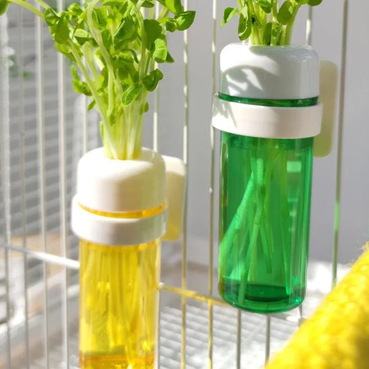 1X Bird Parrot Feeder Cage Vegetable Holder - ProPawPet.com