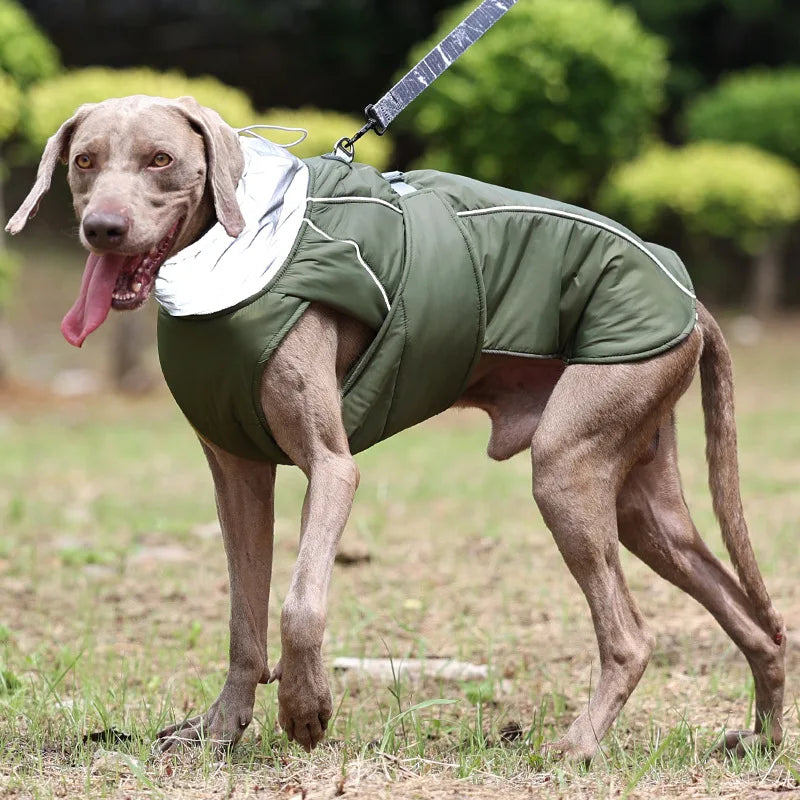 Dog Coat Winter Waterproof Windproof Reflective Thick Warm, Adjustable – photo 4