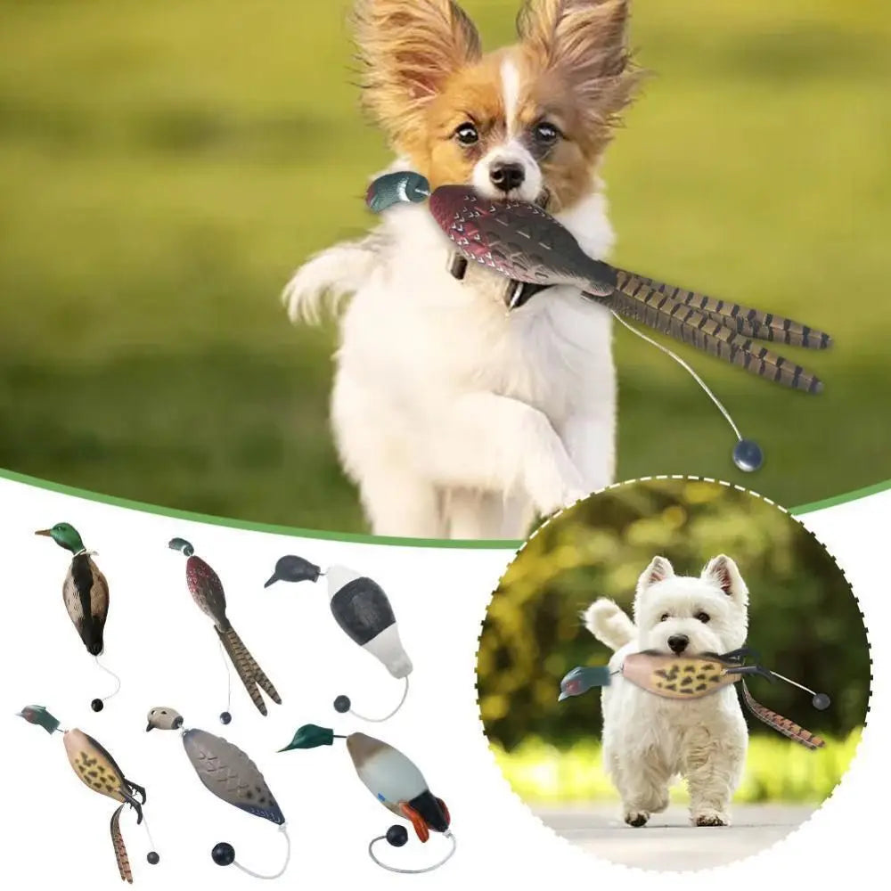 Mallard Duck Decoy Dog Training Toys For - ProPawPet.com