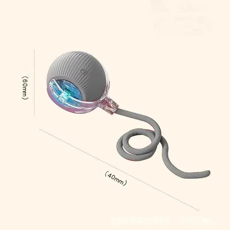 Rechargeable Dog Interactive Ball Toy – Dog Supplies