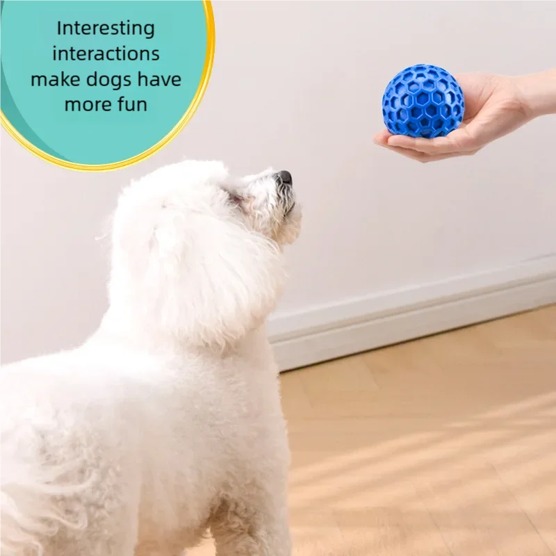 Tough Natural Rubber Dog Chew Toy - ProPawPet.com