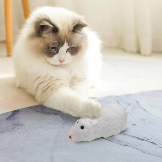 Cat Toys Clockwork Simulation Mouse No - ProPawPet.com