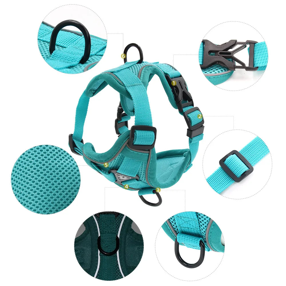 Harness and Leash Set Pet Accessories Dog - ProPawPet.com