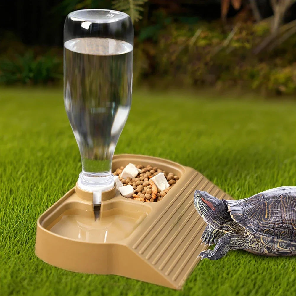 1 PC Dual Function Reptile Feeder & Water - ProPawPet.com