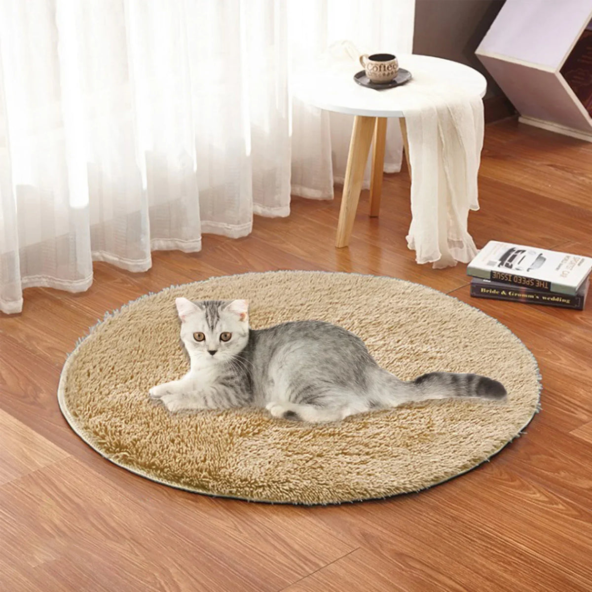 Electric Usb Mat Constant Temperature Pet - ProPawPet.com
