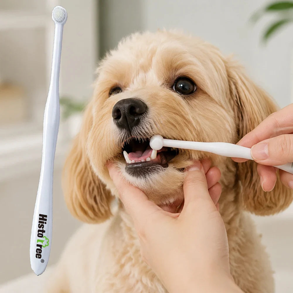 Pet Finger Toothbrush for Dogs Cats Soft - ProPawPet.com