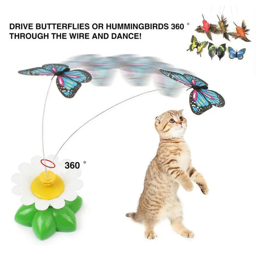 Electric Butterfly Cat Toy Automatic - ProPawPet.com