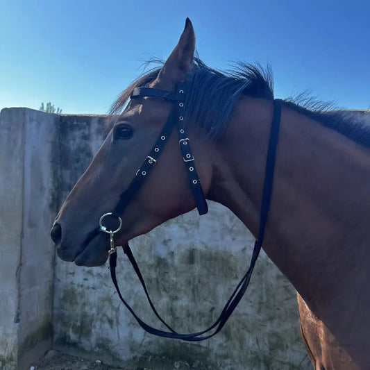 Horse Bridle Harness Set – PU Leather - ProPawPet.com