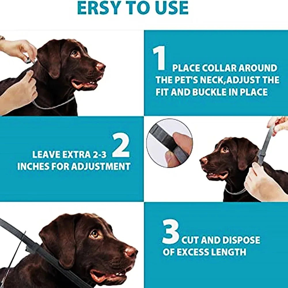 VIP Dog Collar Puppy Cat Plastic Collar for - ProPawPet.com