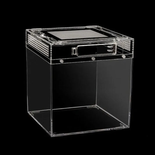 Reptile Terrarium Anti-escape Amphibious - ProPawPet.com