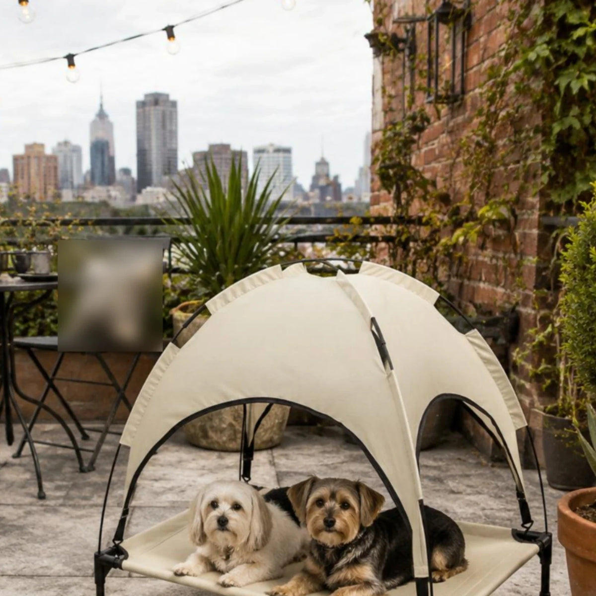 Foldable Elevated Dog Cot Bed with Removable - ProPawPet.com