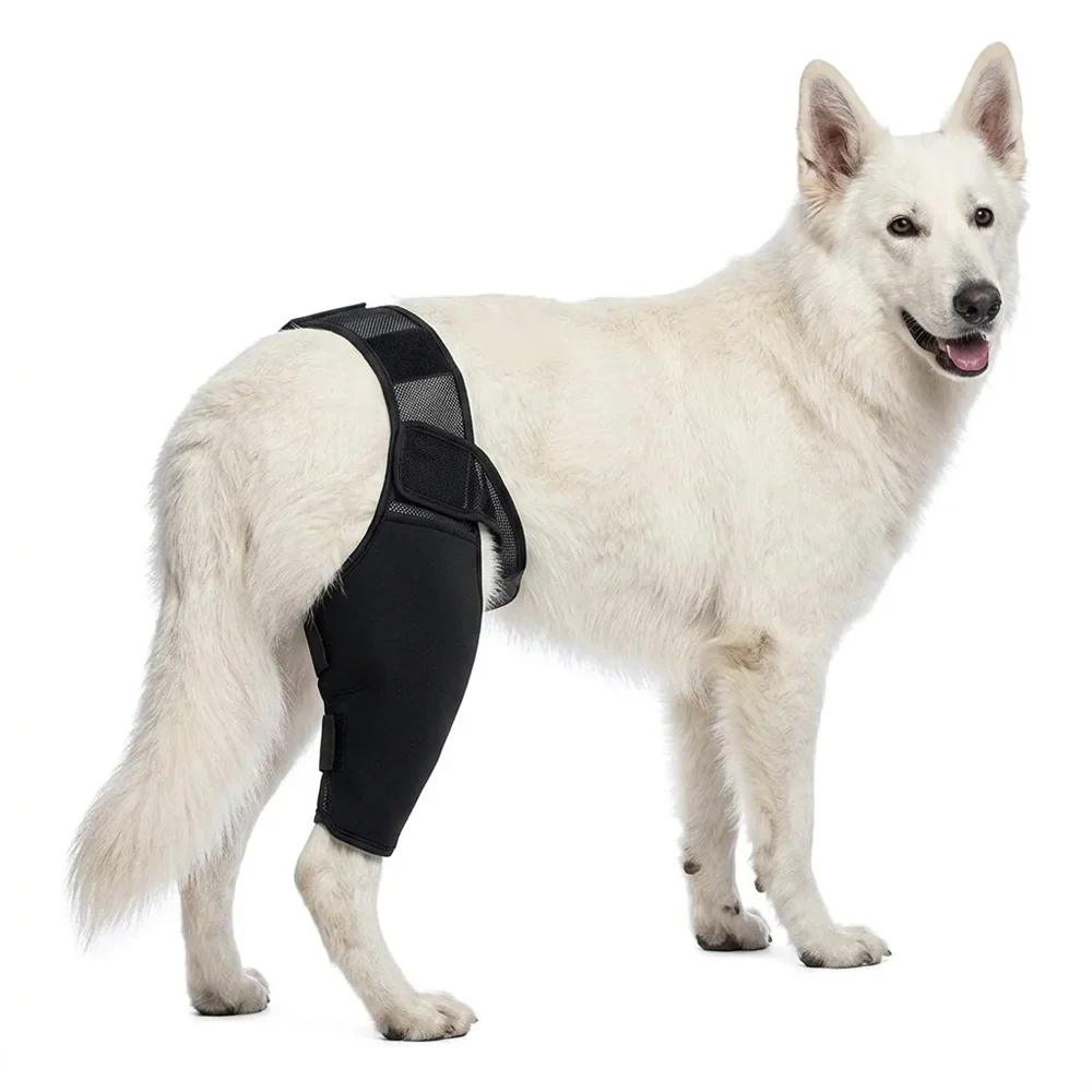 Dog Rear Leg Brace for Large Dogs Knee Joint - ProPawPet.com