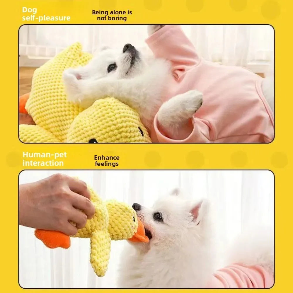 1/3PCS Things For Dogs Accessories Dog - ProPawPet.com
