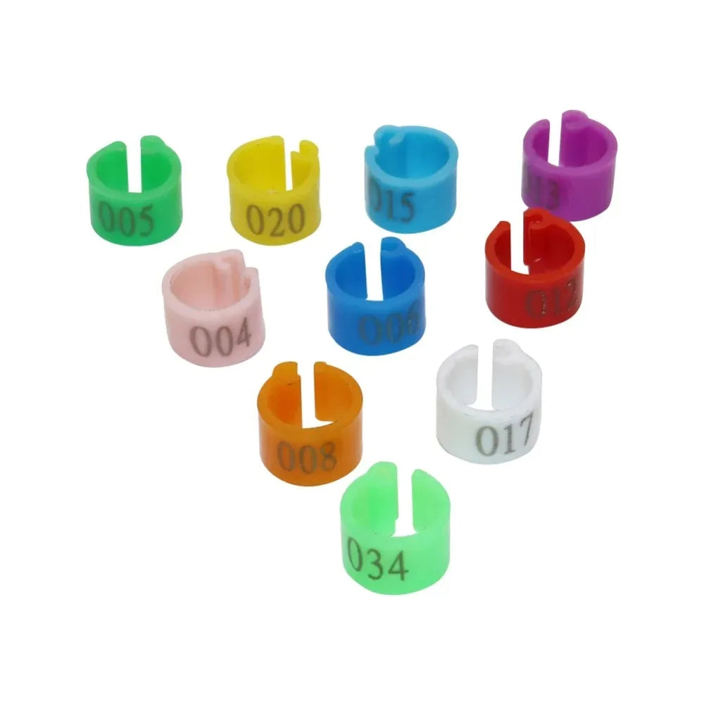 100Pcs Pigeon Anklet Inner Diameter 6mm Bird - ProPawPet.com