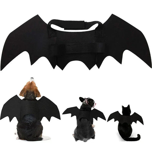 Cute Pet Cat Bat Wings for Halloween Party - ProPawPet.com