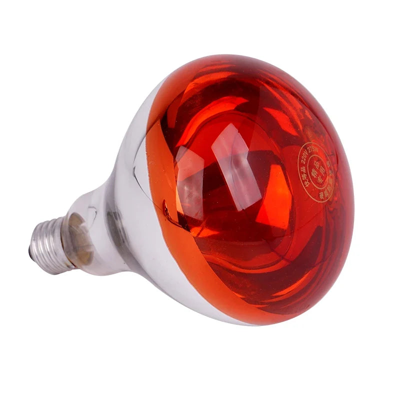 220V Heating Light Bulb Poultry Reptile - ProPawPet.com