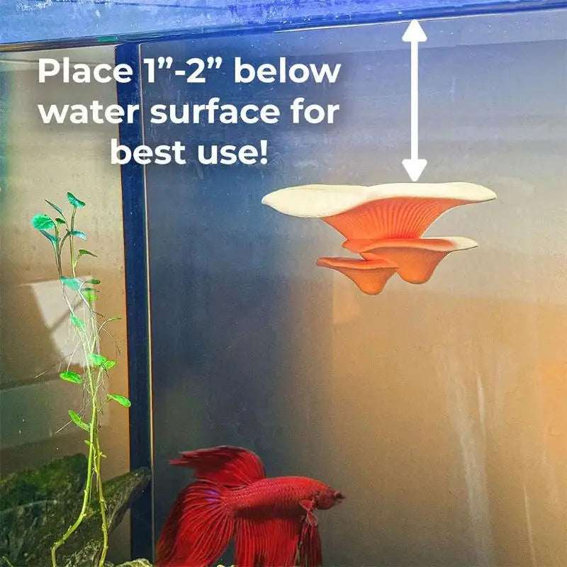 Mushroom Hammock Betta Fish Rest Bed - ProPawPet.com