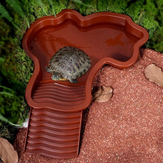 Turtles Bathing Pool Water Bowl with Slip - ProPawPet.com