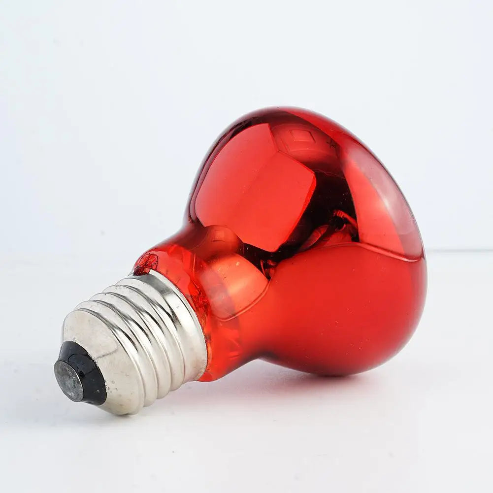 25W-100W E27 Pet Red Heating Lamp Day Night - ProPawPet.com
