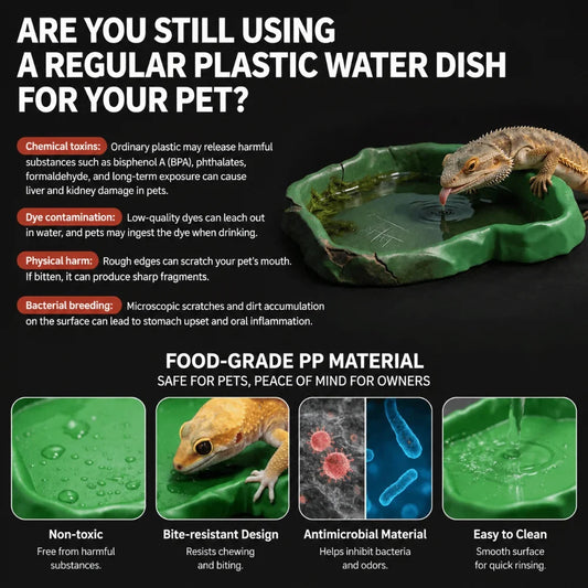 ABS Resin Reptile Feeder Bowl Stone Texture - ProPawPet.com