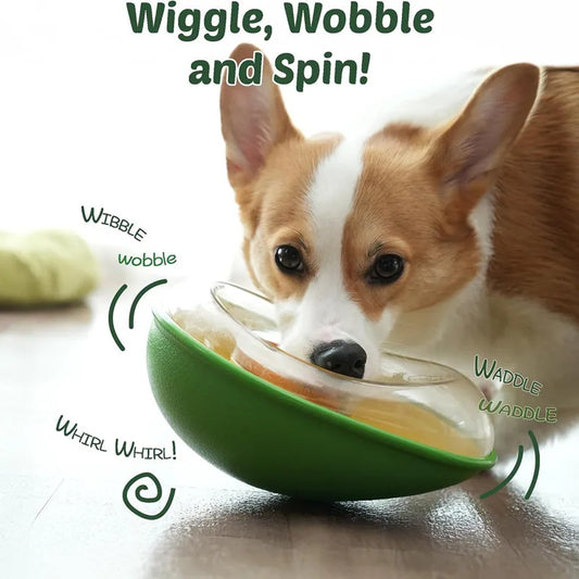 Avocado Training Pet Automatic Feeder - ProPawPet.com