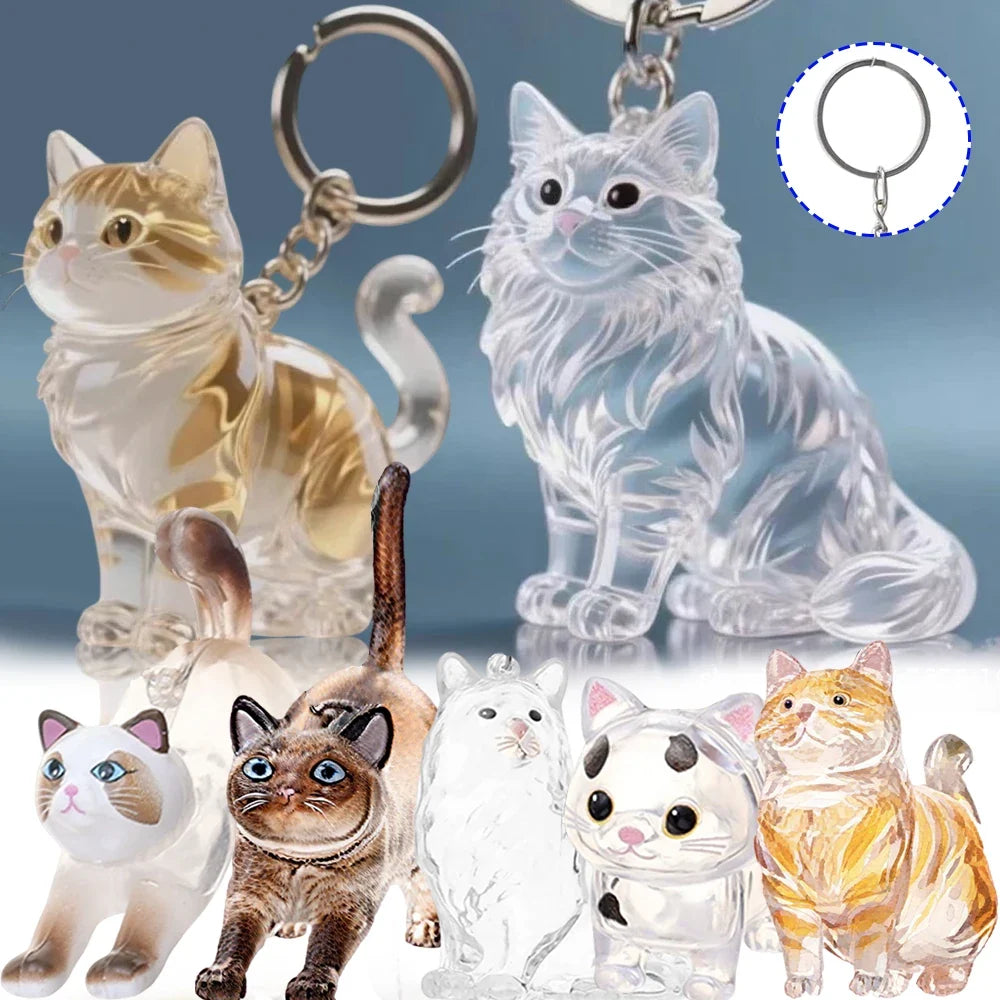 New Transparent Cat Hair Storage Capsule - ProPawPet.com