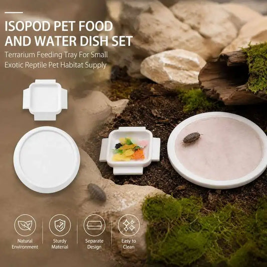 Small Exotic Pet Feeding Dish Set Food Water - ProPawPet.com