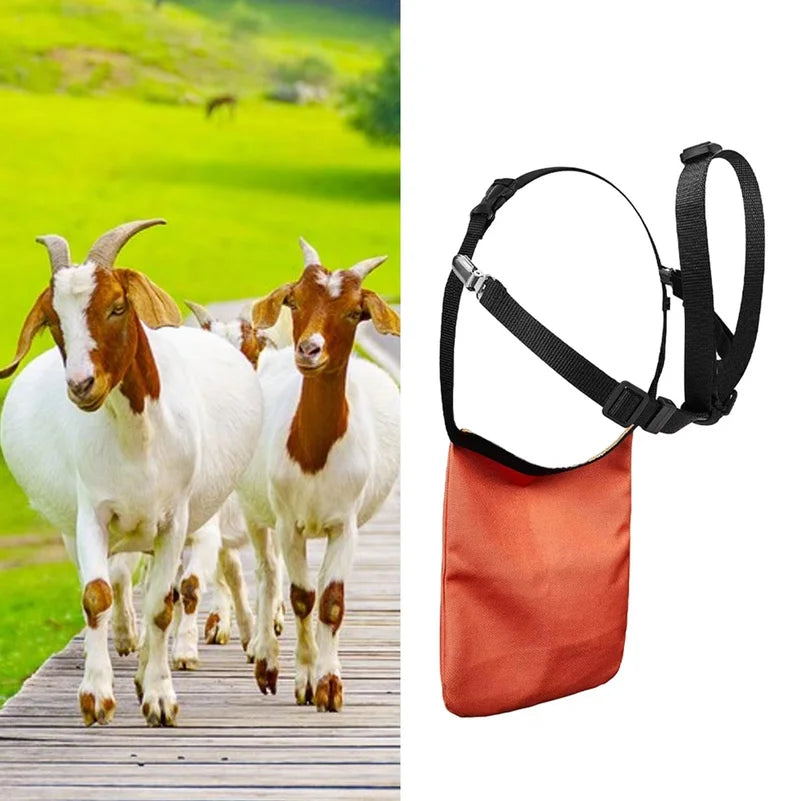 Goats Anti Breeding Apron Breeding Control - ProPawPet.com