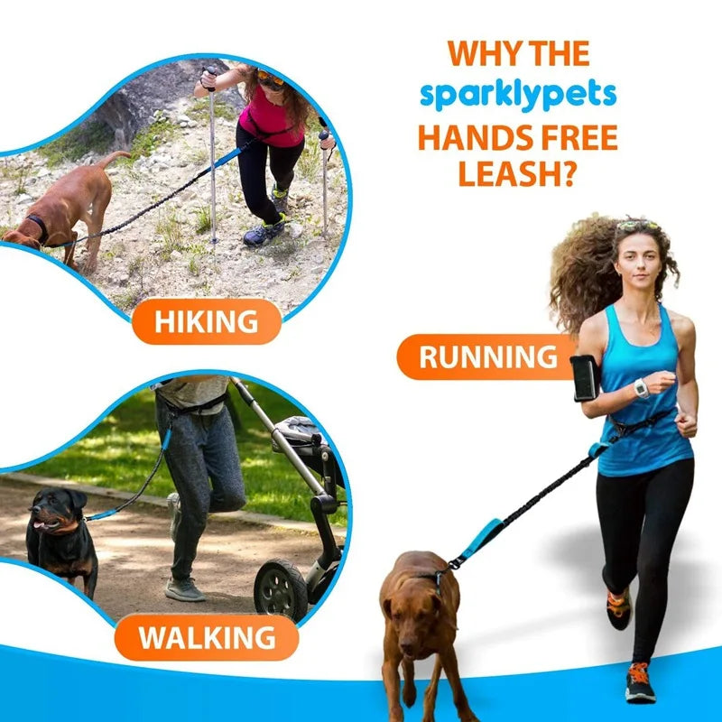 Double Elastic Reflective Running Leash - ProPawPet.com