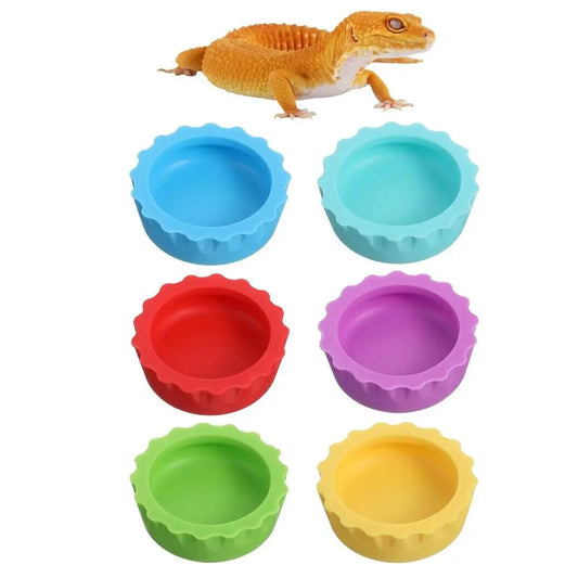 6pcs BPA Free Silicone Reptile Food Bowl - ProPawPet.com