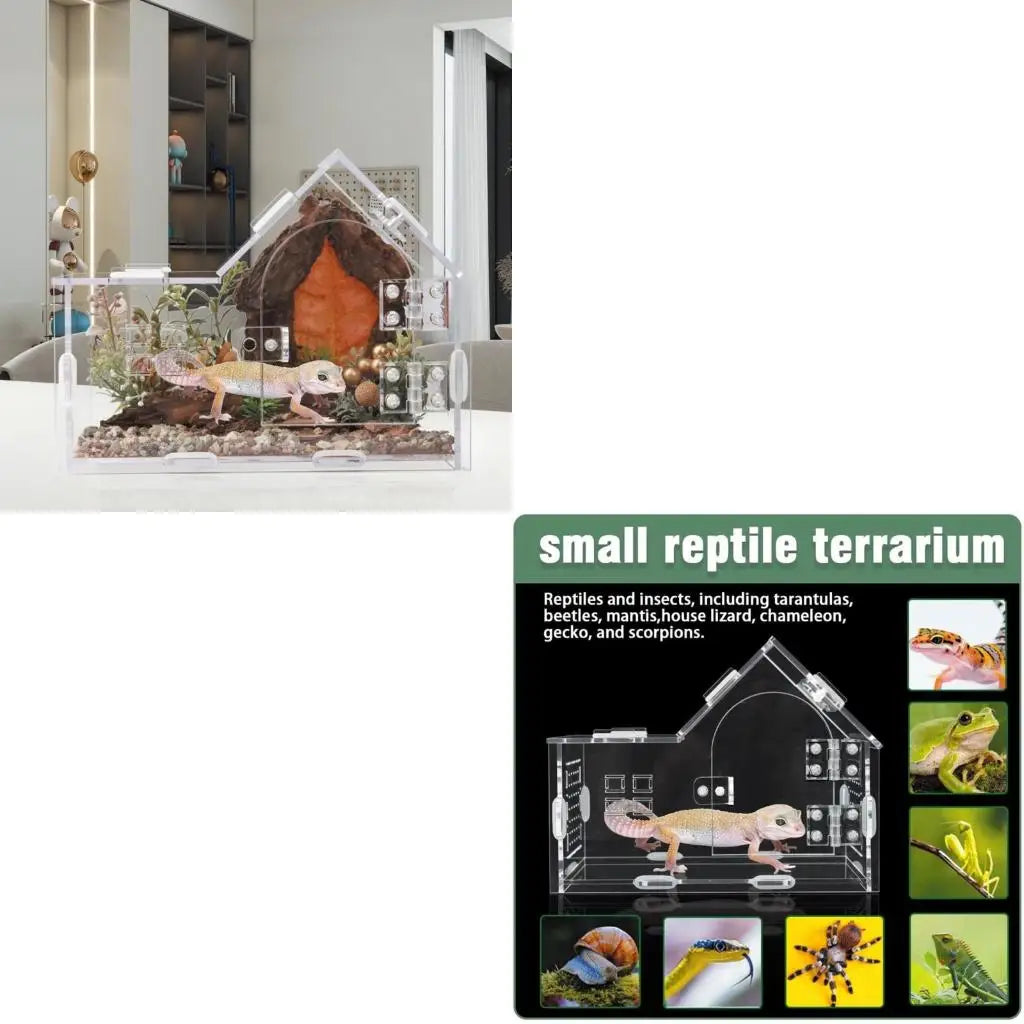 Reptiles Terrarium Clear Observation Design - ProPawPet.com