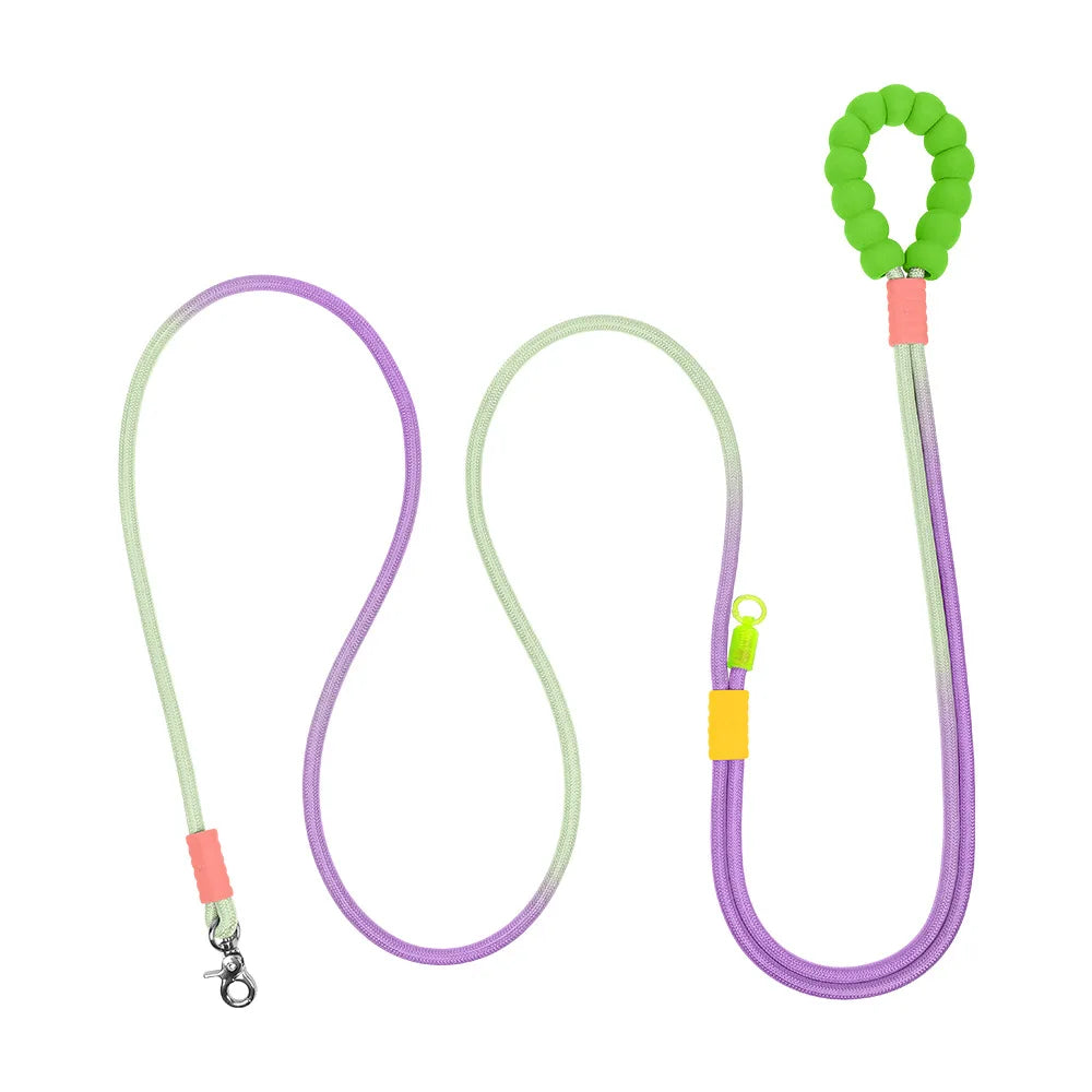 Heavy Duty Gradient Reflective Dog Leash - ProPawPet.com